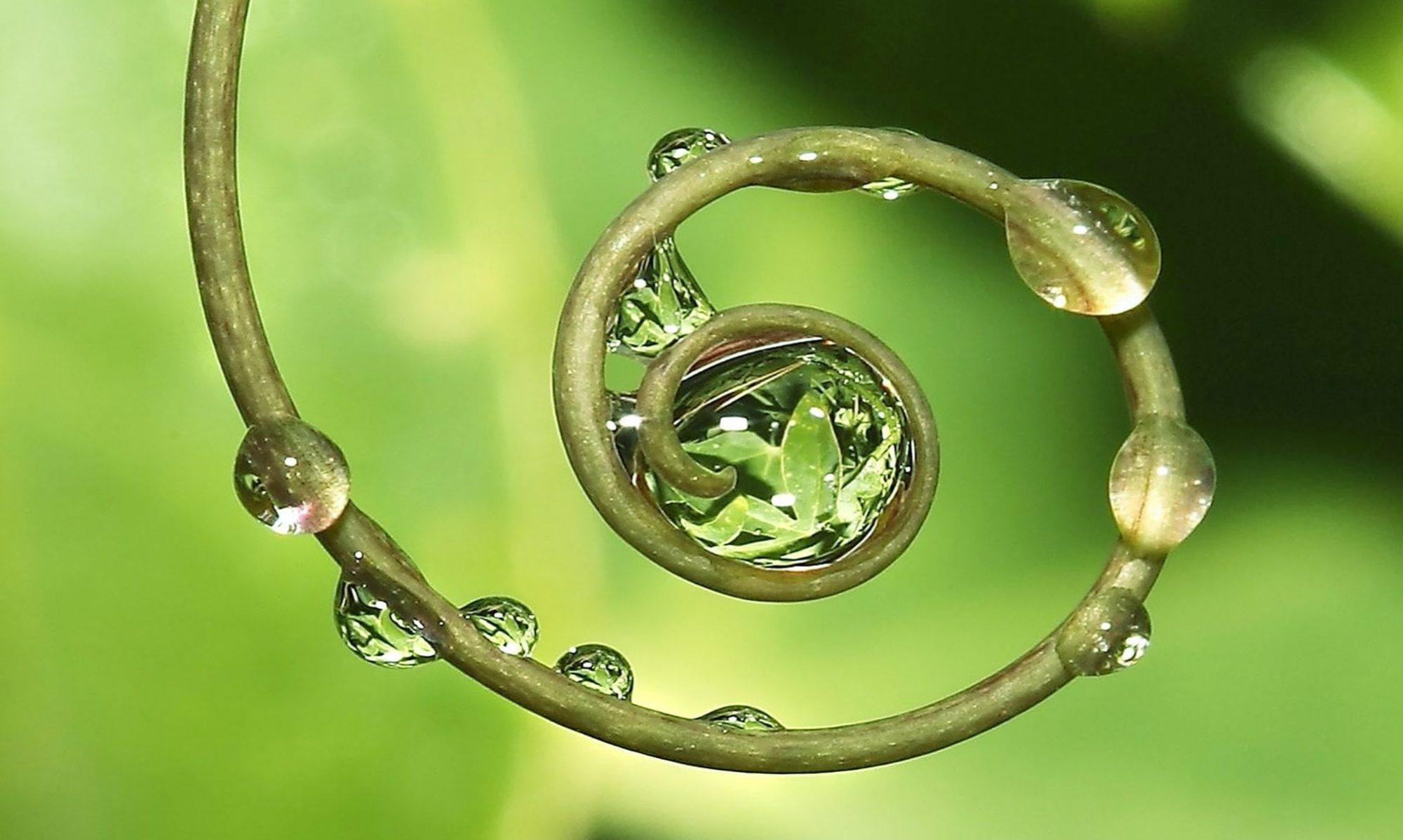 Page Banner
